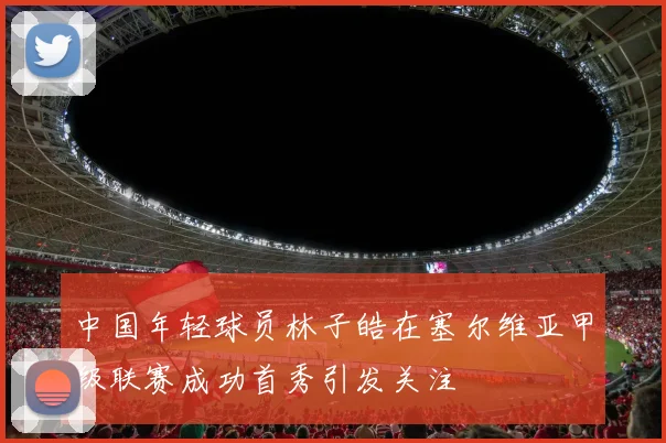 中国年轻球员林子皓在塞尔维亚甲级联赛成功首秀引发关注