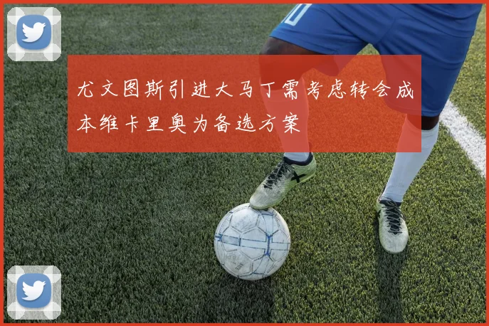 尤文图斯引进大马丁需考虑转会成本维卡里奥为备选方案