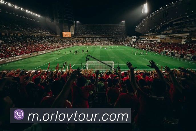 赛事专题整合